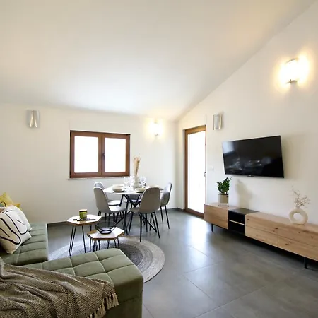 Apartment Rajkovic Matulji
