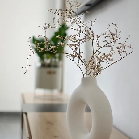 Rajkovic Appartement *